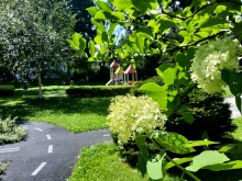 Ogród w krakowskiej Akademii Małych Pociech